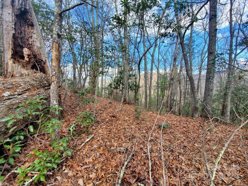 Lot at 00 Elkins Road, Bakersville, photo 34 of 38