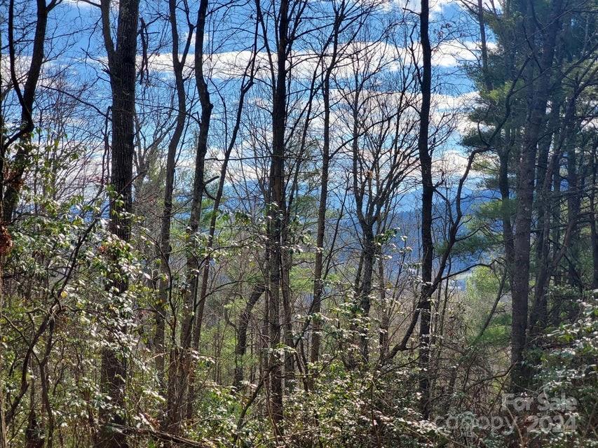 Lot at 00 Elkins Road, Bakersville, photo 37 of 38