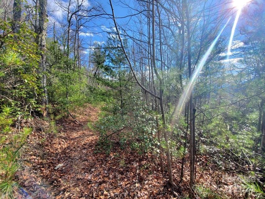 Lot at 00 Elkins Road, Bakersville, photo 38 of 38