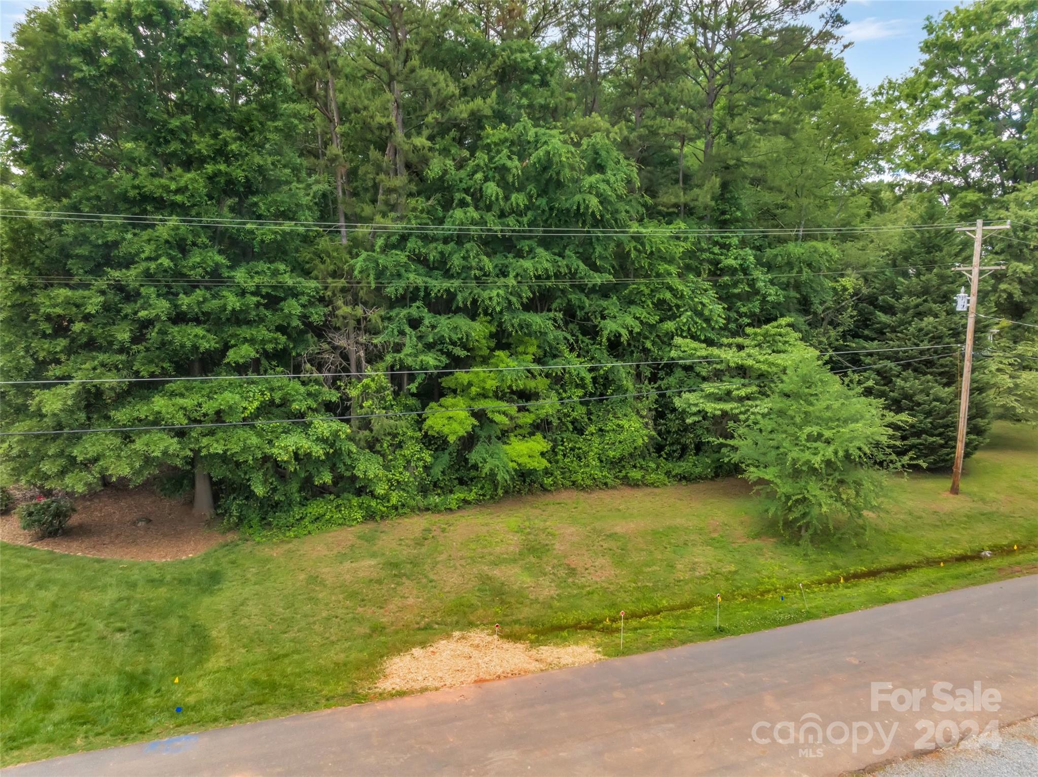 Lot at 15925 Henry Lane, Huntersville, photo 2 of 18