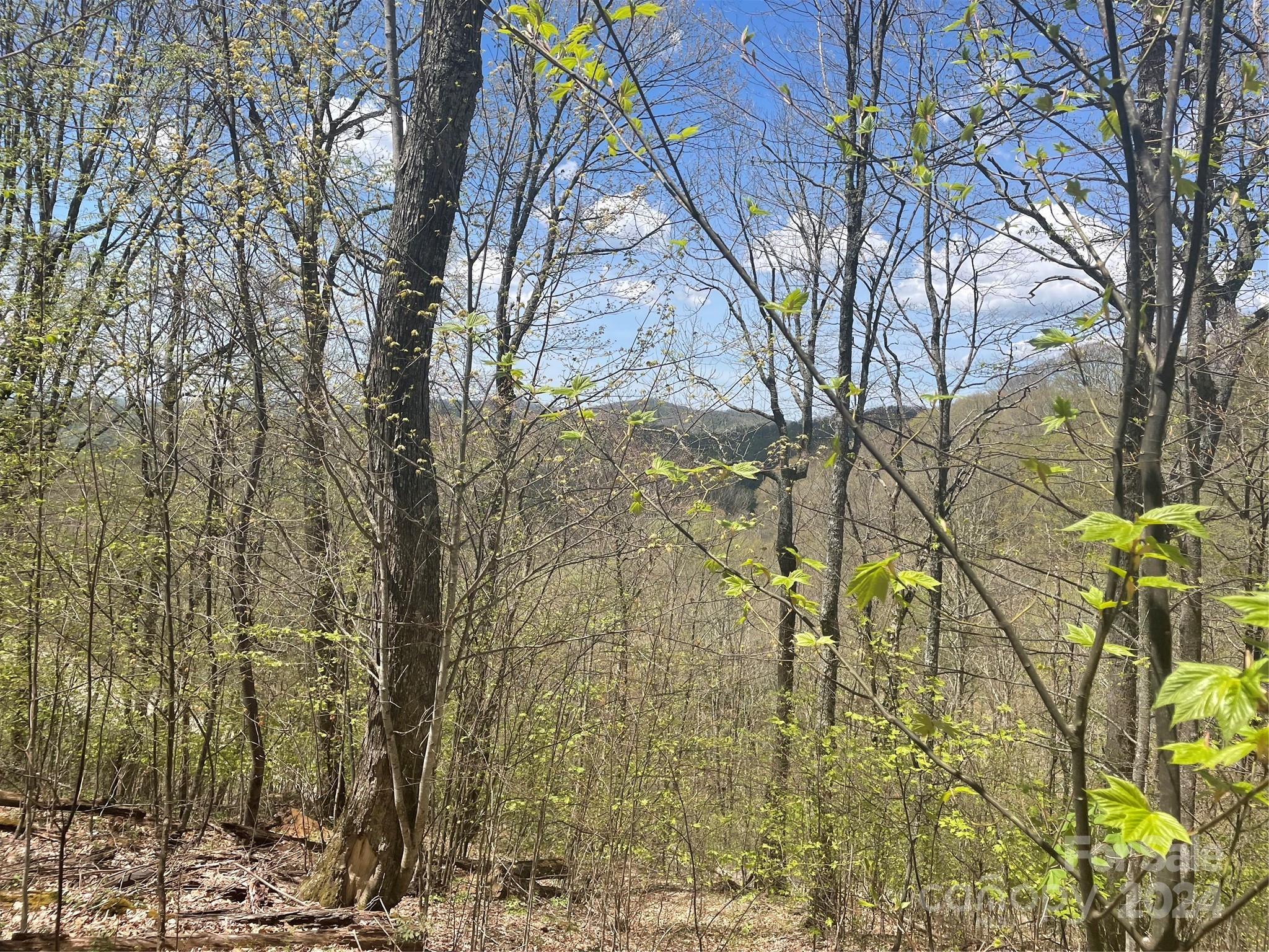 Lot at 000 El Miner Drive, Mars Hill, photo 3 of 30