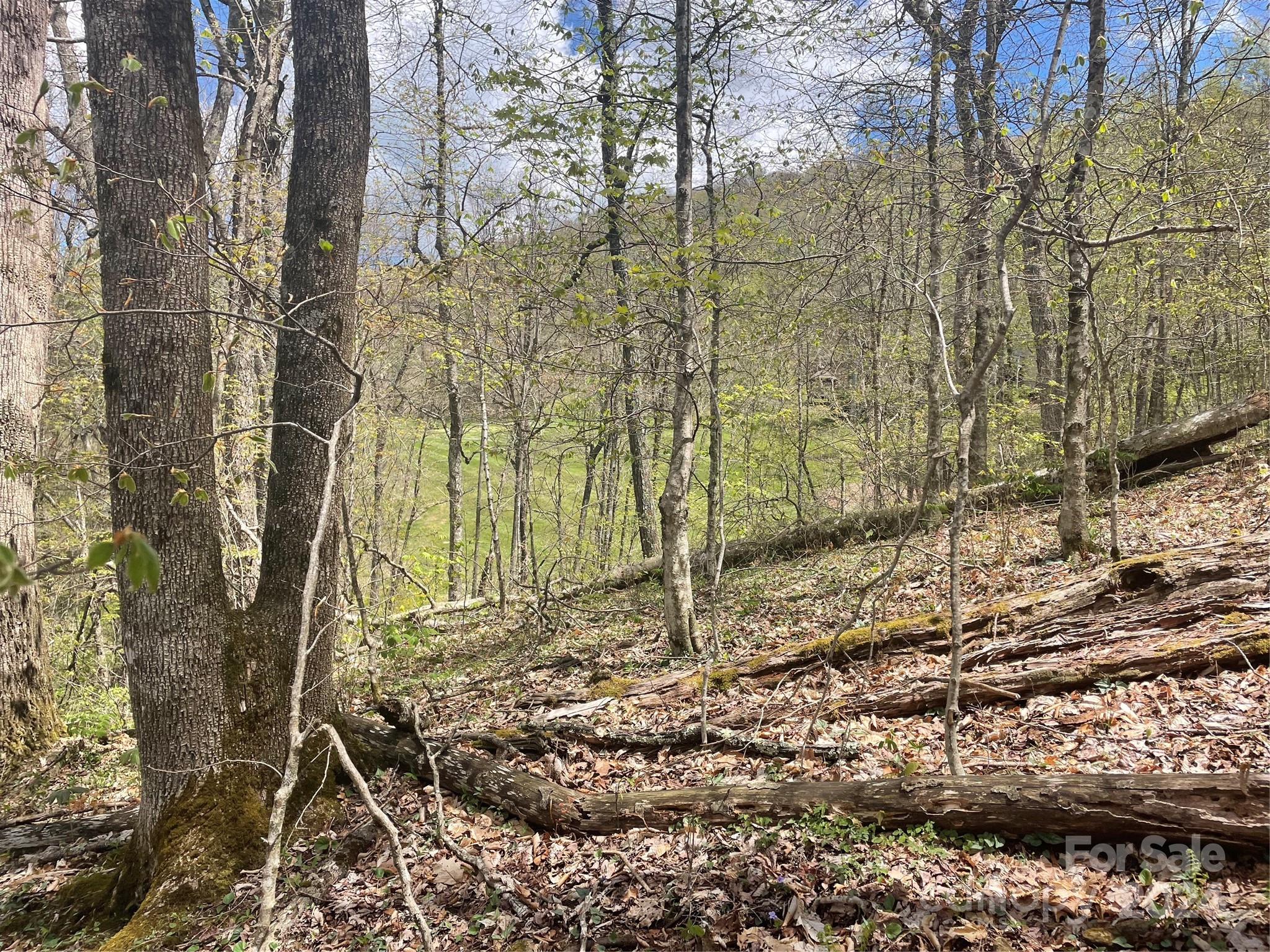 Lot at 000 El Miner Drive, Mars Hill, photo 9 of 30