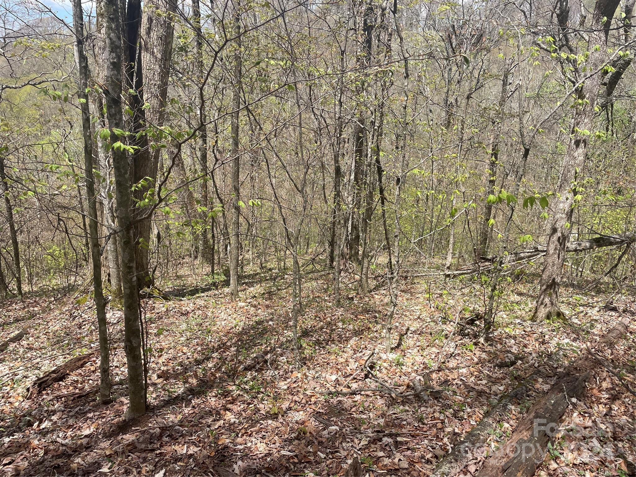 Lot at 000 El Miner Drive, Mars Hill, photo 11 of 30