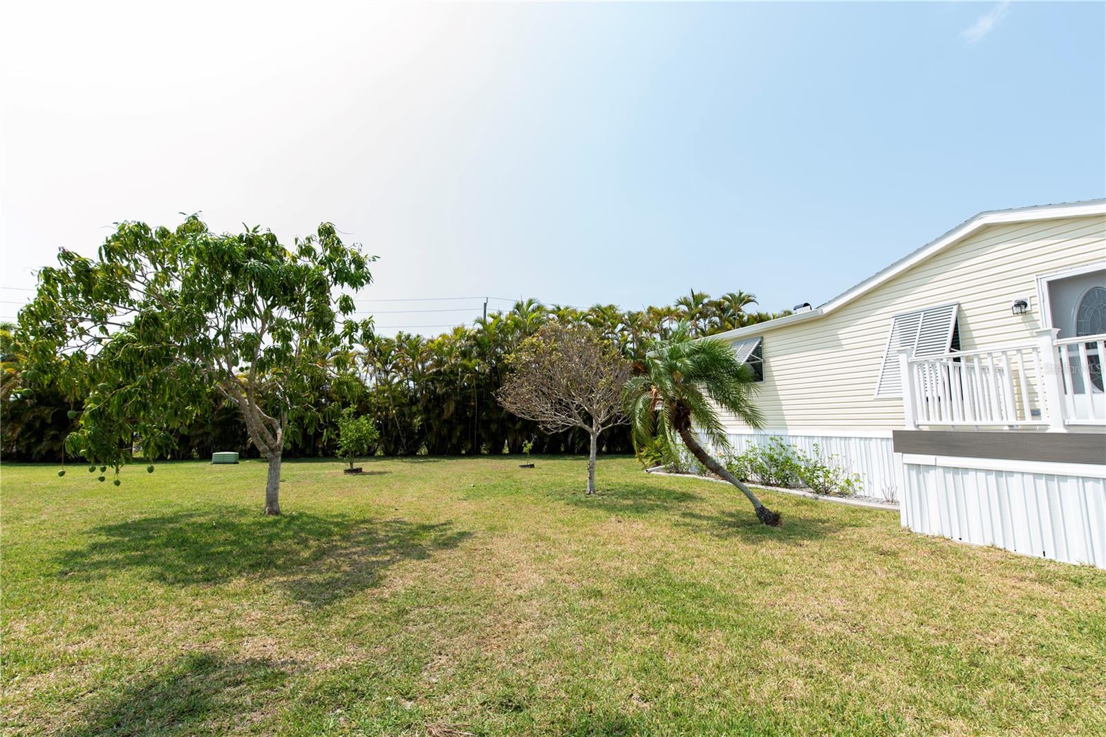 Frontyard - 23 HOLLAND DR, PUNTA GORDA