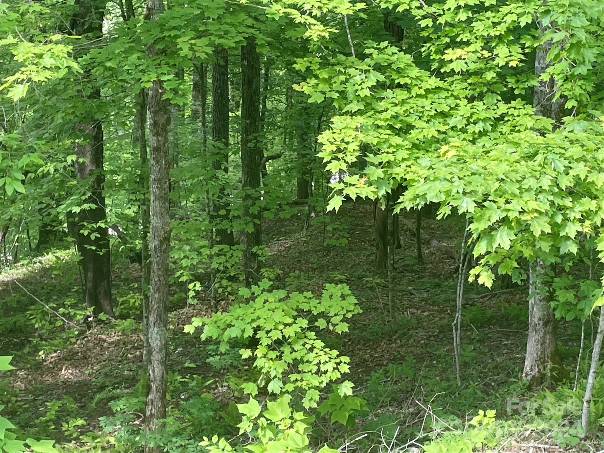Lot at 000 El Miner Drive, Mars Hill, photo 4 of 22