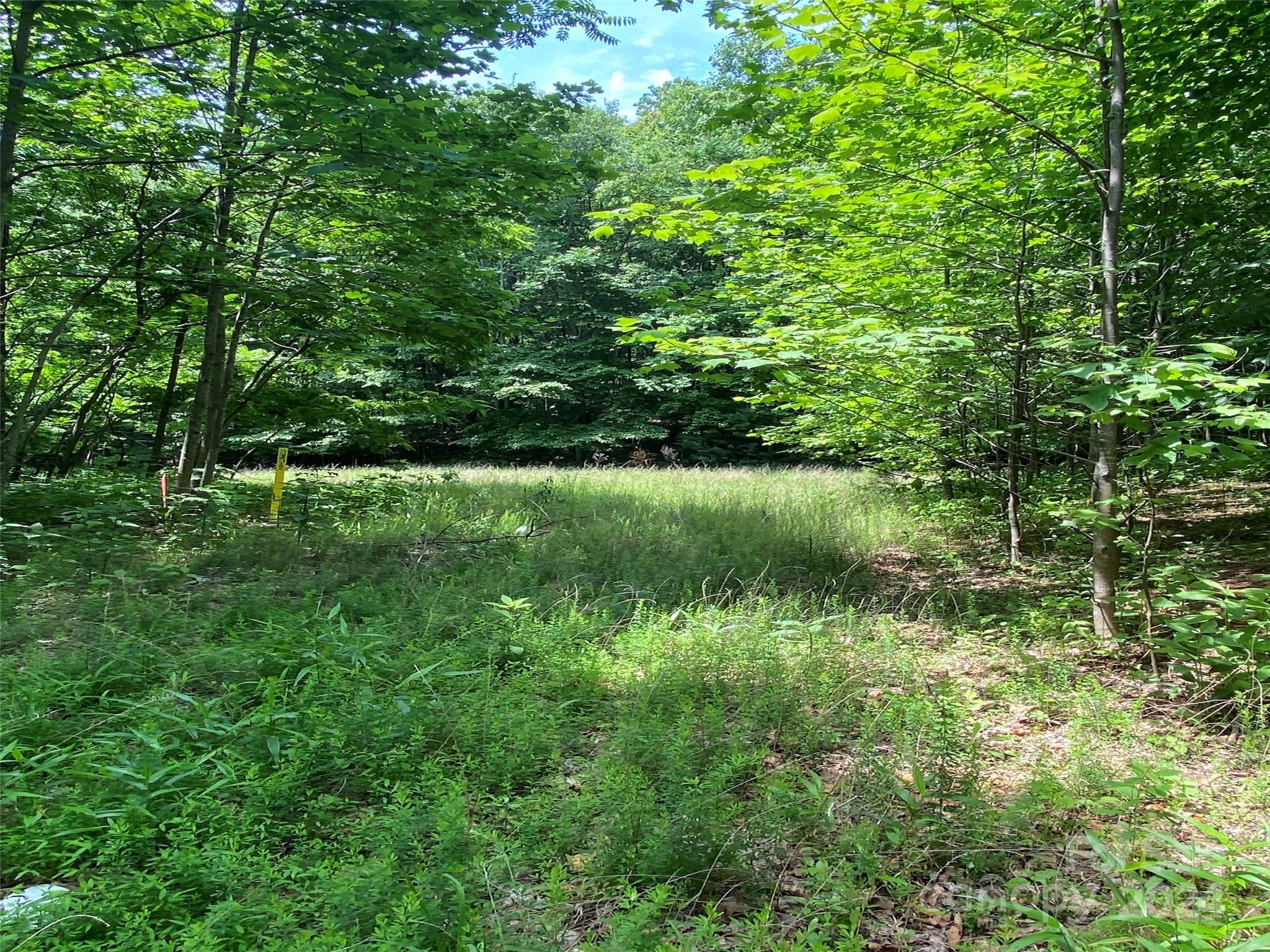 Lot at 199 Cherry Hill None, Mill Spring, photo 2 of 11