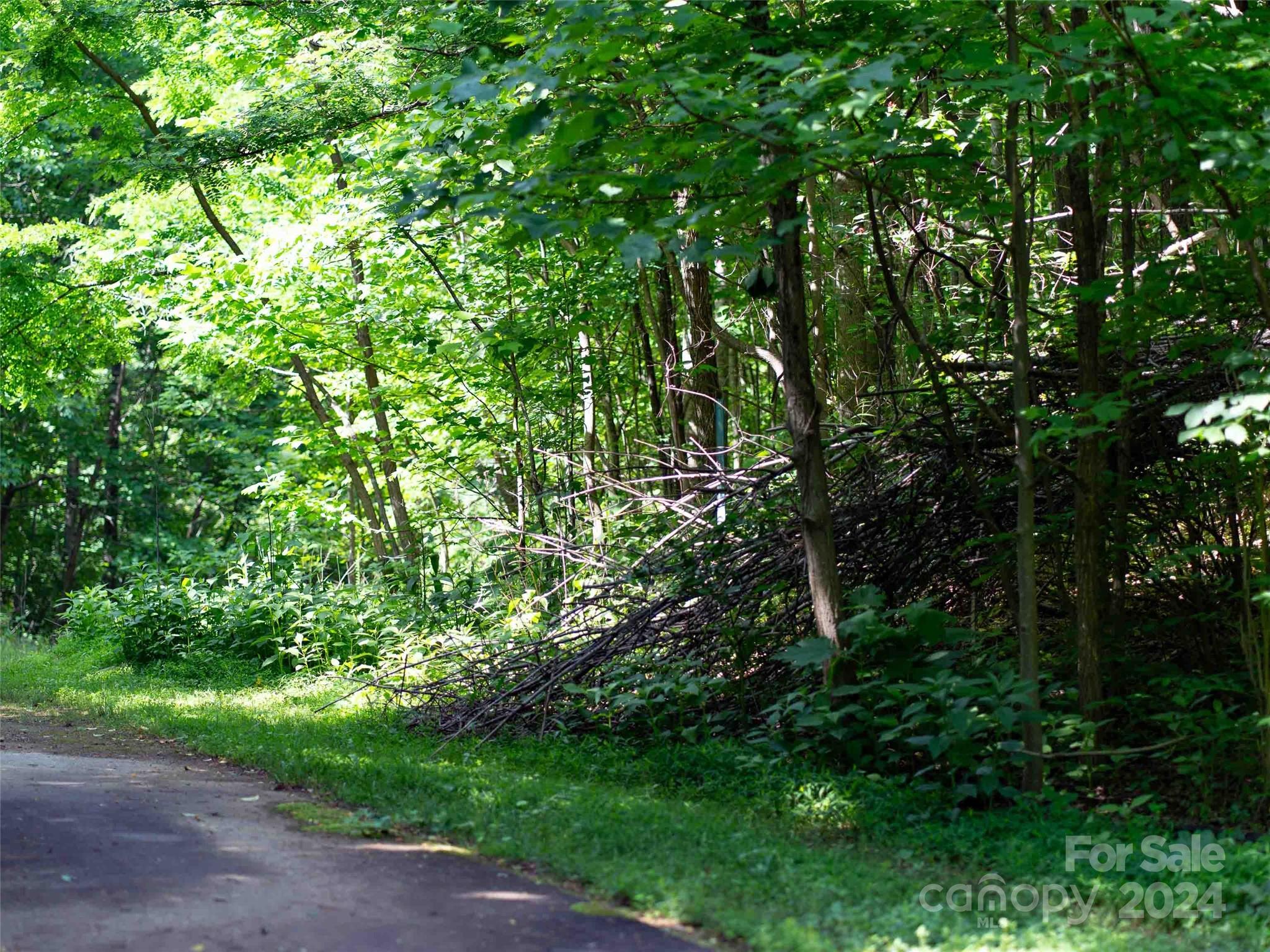 Lot at 199 Cherry Hill None, Mill Spring, photo 3 of 11