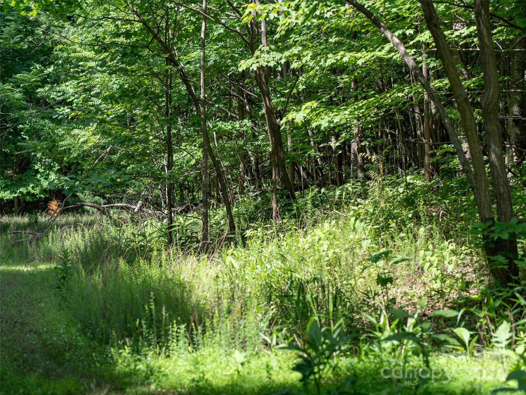 Lot at 199 Cherry Hill None, Mill Spring, photo 4 of 11