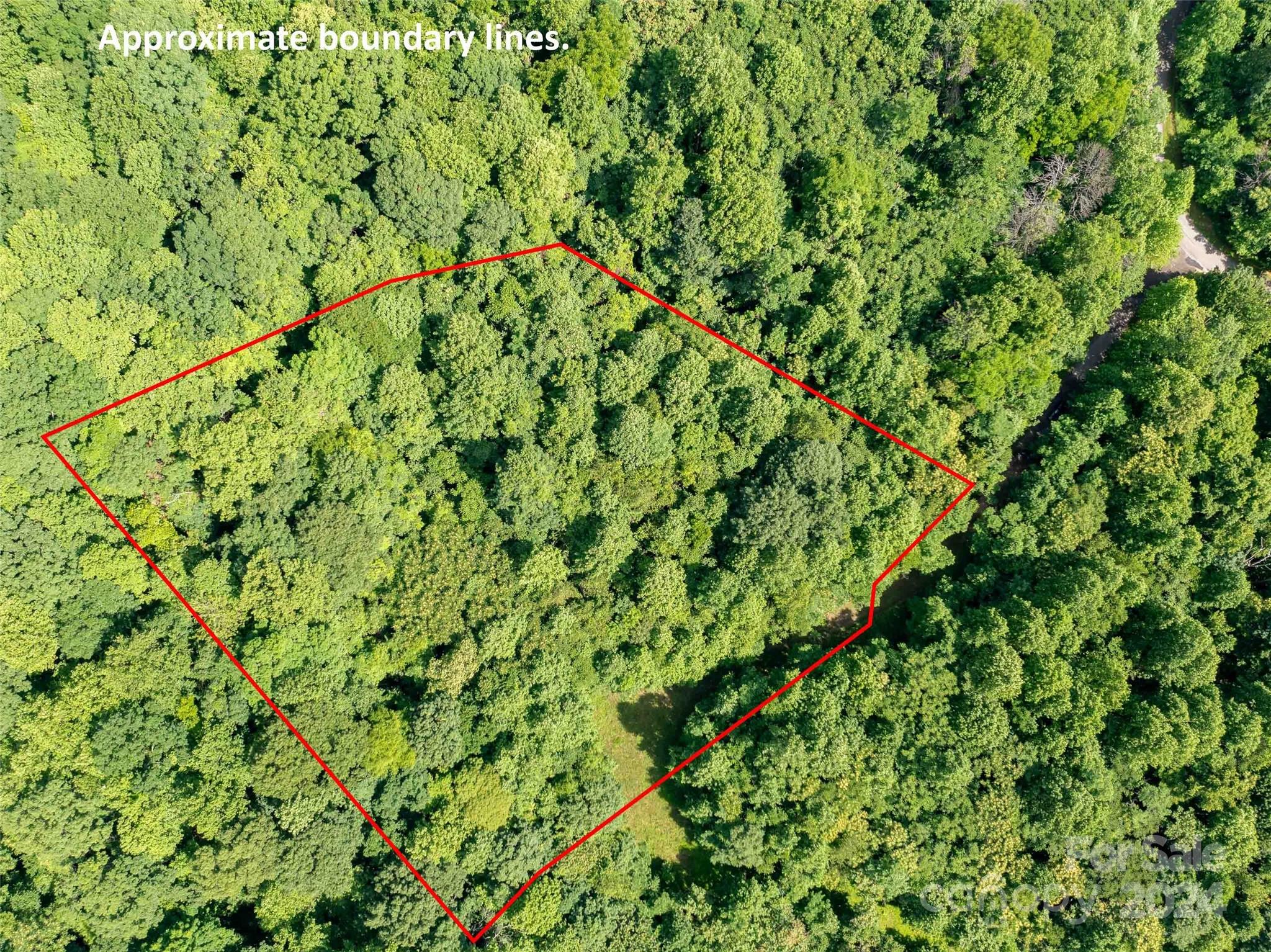Lot at 199 Cherry Hill None, Mill Spring, photo 6 of 11