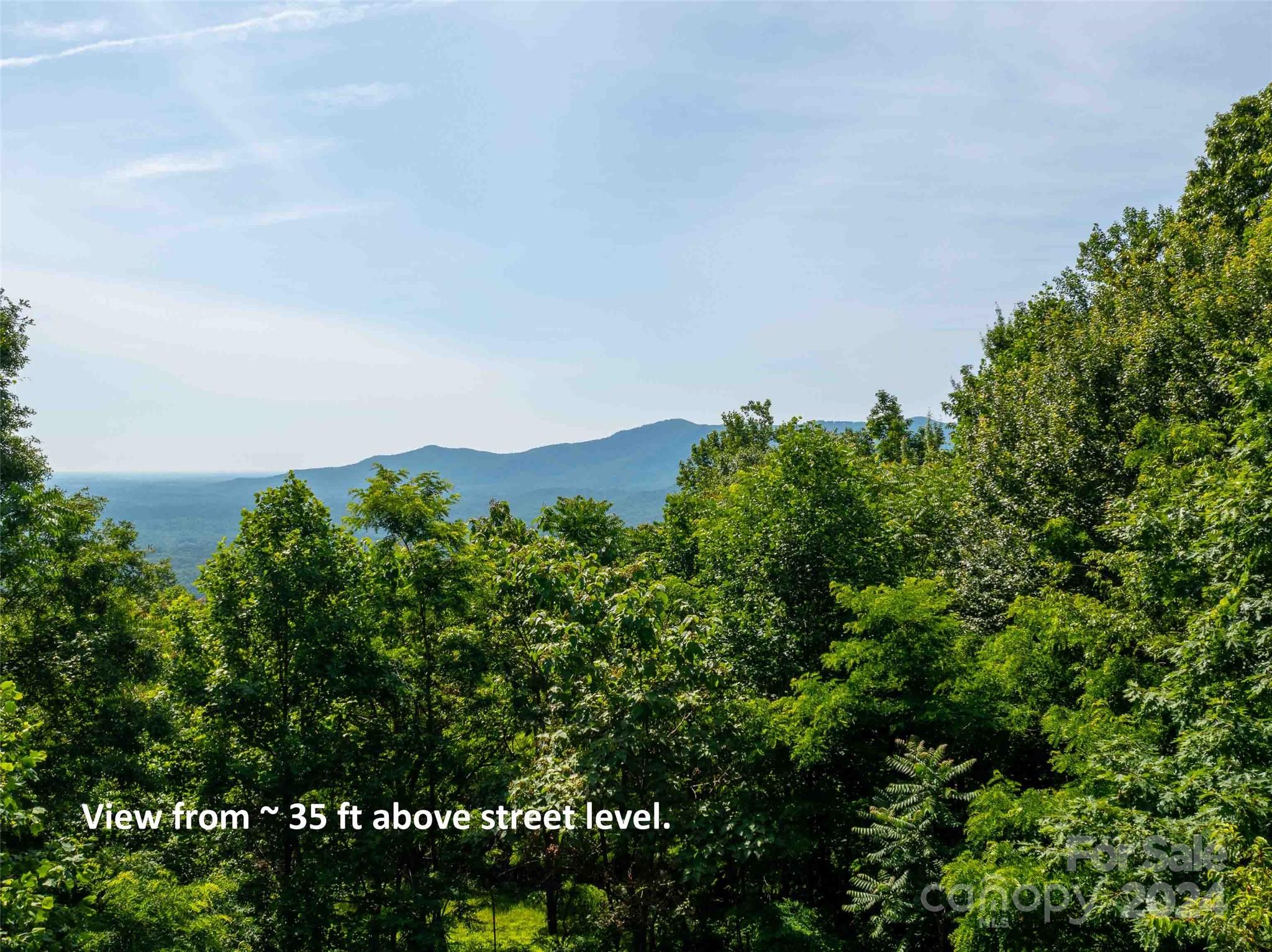 Lot at 199 Cherry Hill None, Mill Spring, photo 7 of 11