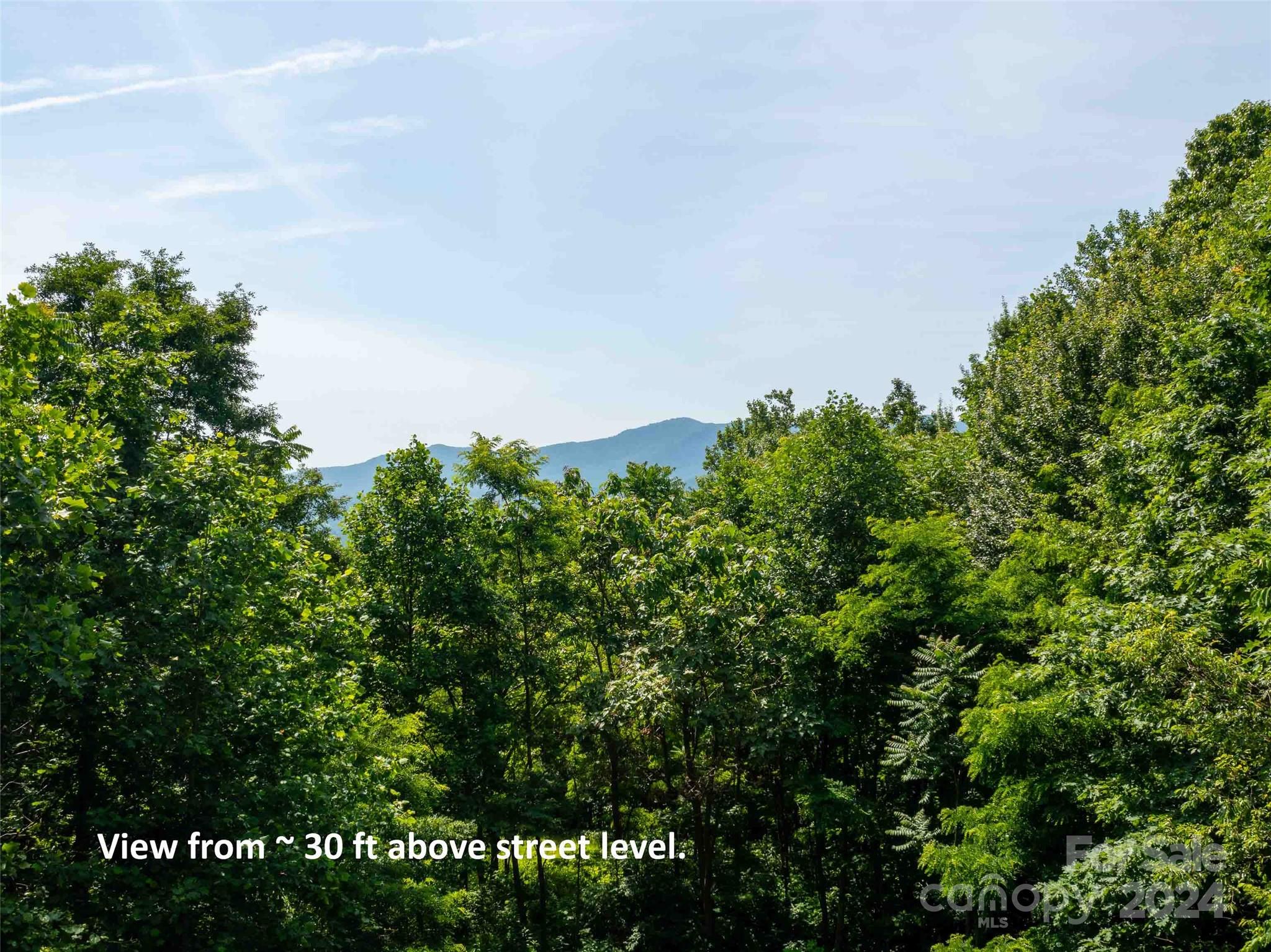 Lot at 199 Cherry Hill None, Mill Spring, photo 8 of 11