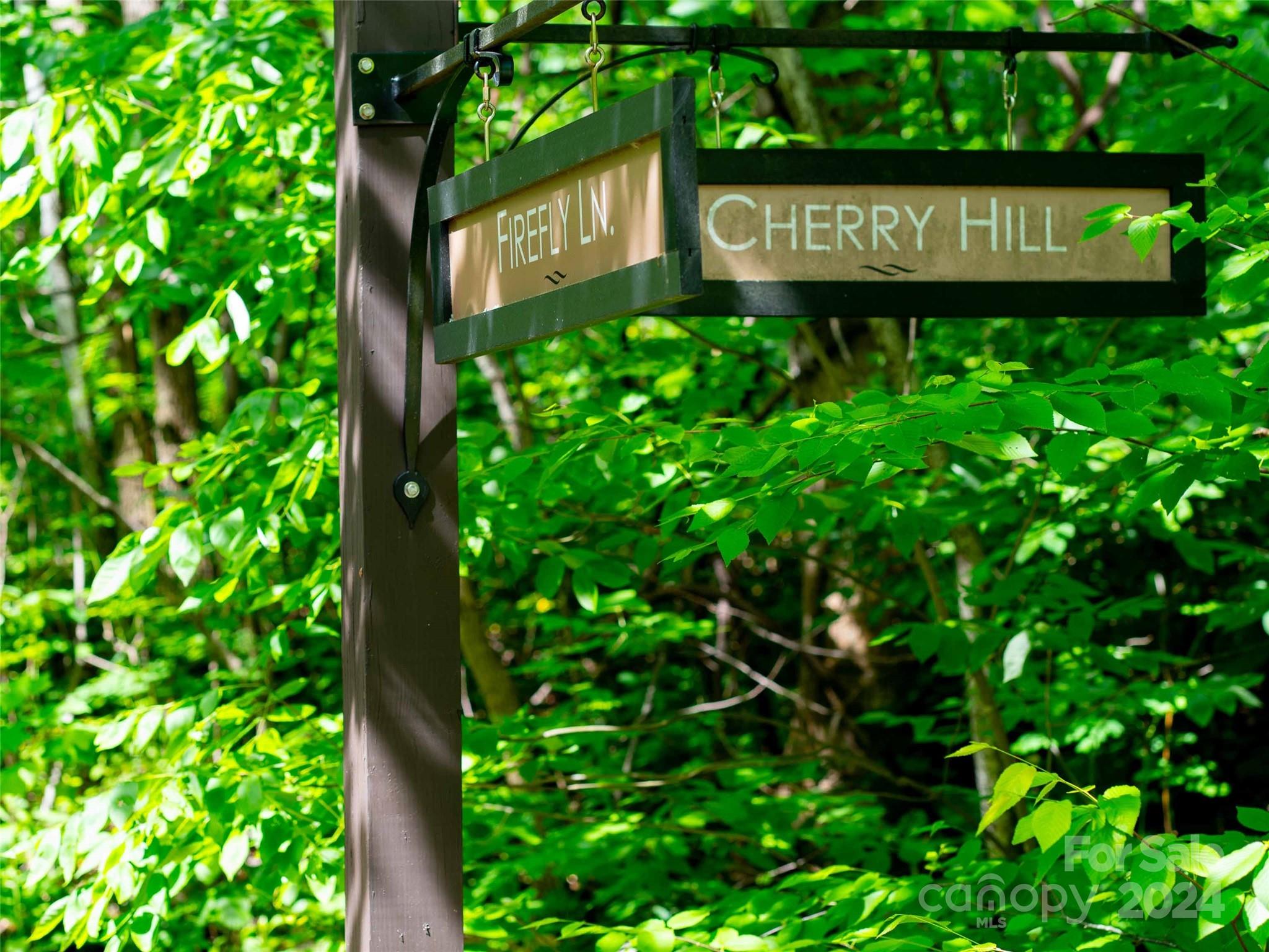 Lot at 199 Cherry Hill None, Mill Spring, photo 9 of 11