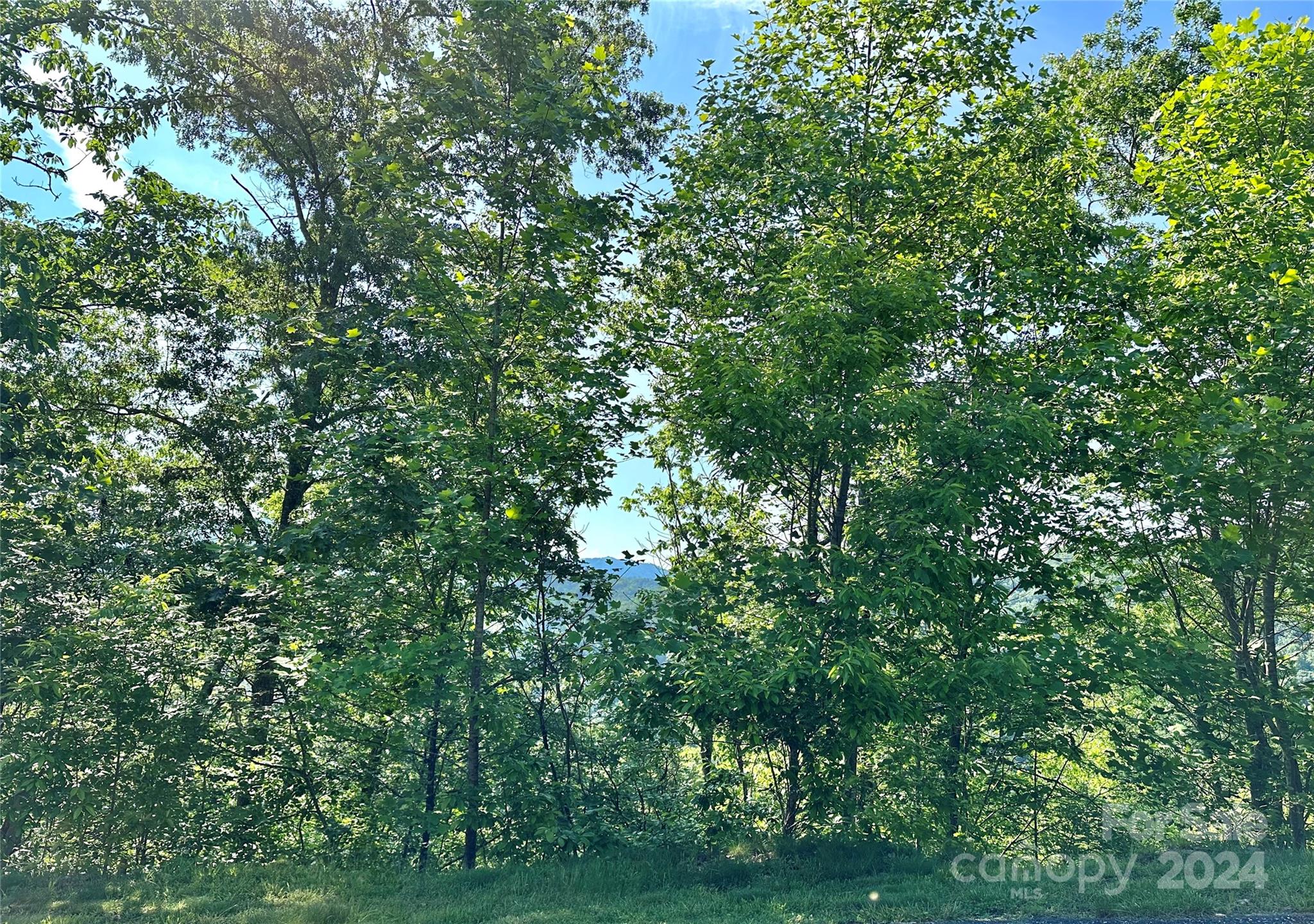 Lot at 385 Wild River Run, Marshall, photo 2 of 23