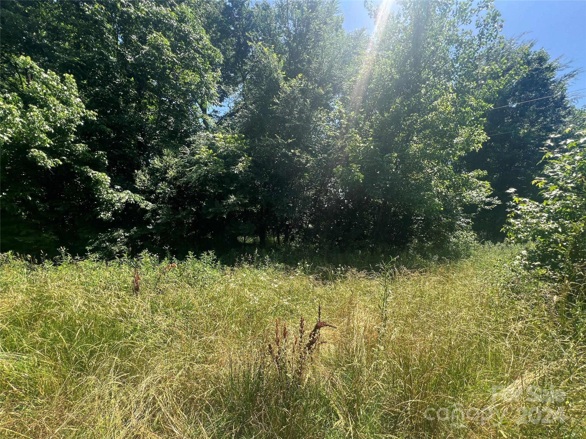 Lot at 0000 White Oak Lane, Matthews, photo 2 of 2