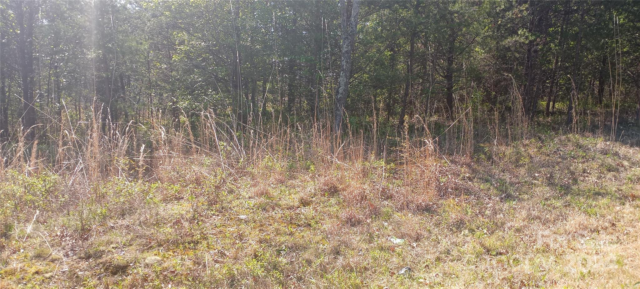 level lot - TBD Biggerstaff Loop, Nebo
