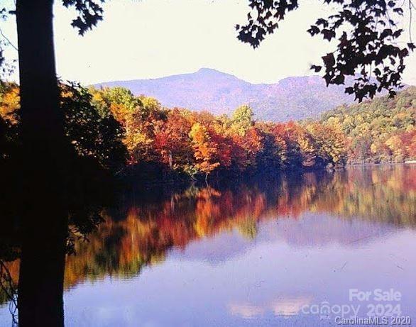 lake James - TBD Biggerstaff Loop, Nebo
