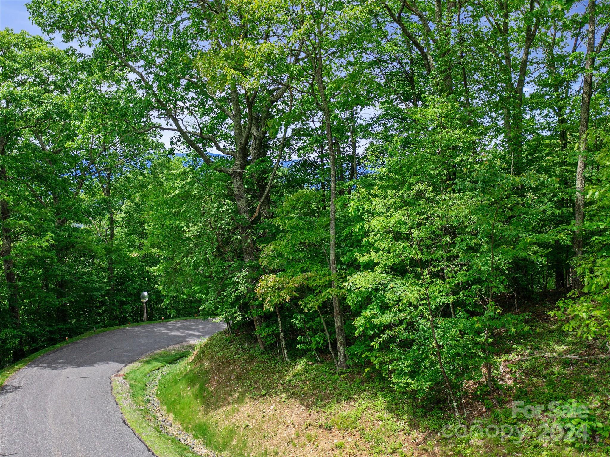 Lot at Lot 17 Old Growth Forest Road, Burnsville, photo 4 of 17