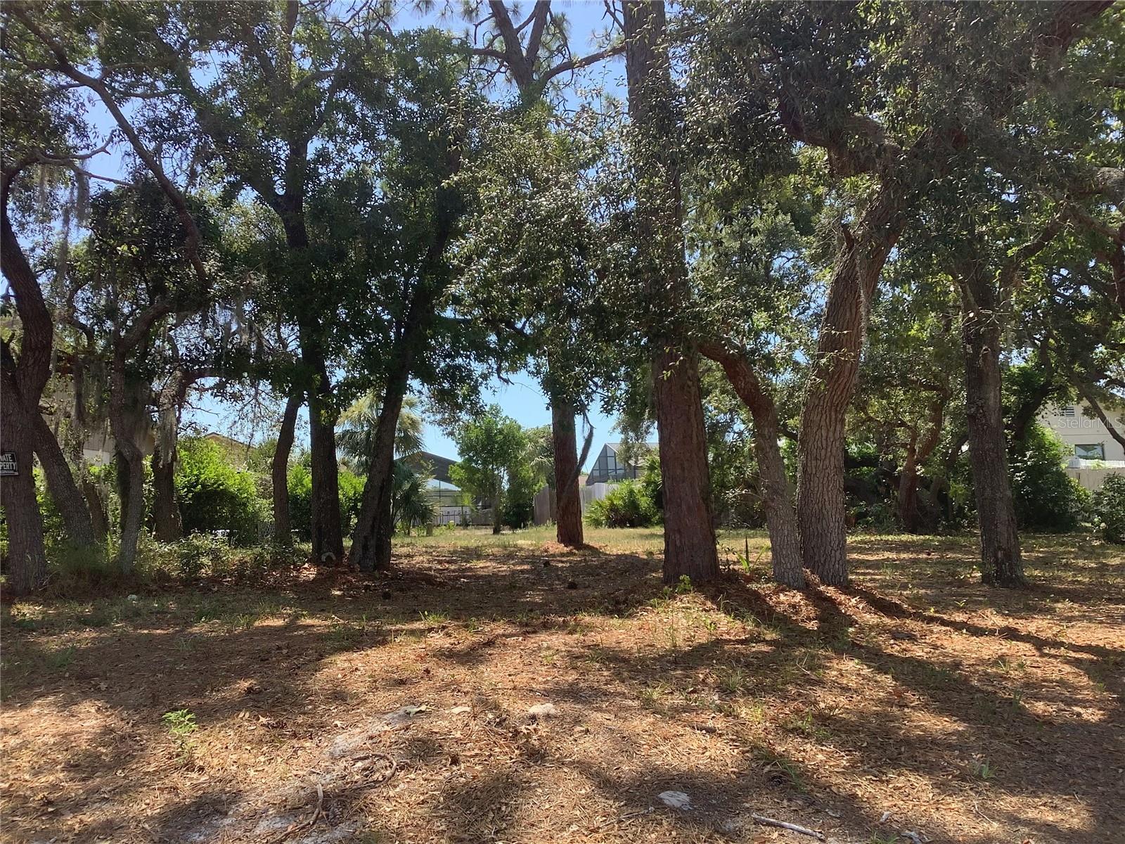 18657 WHITE PINE CIR