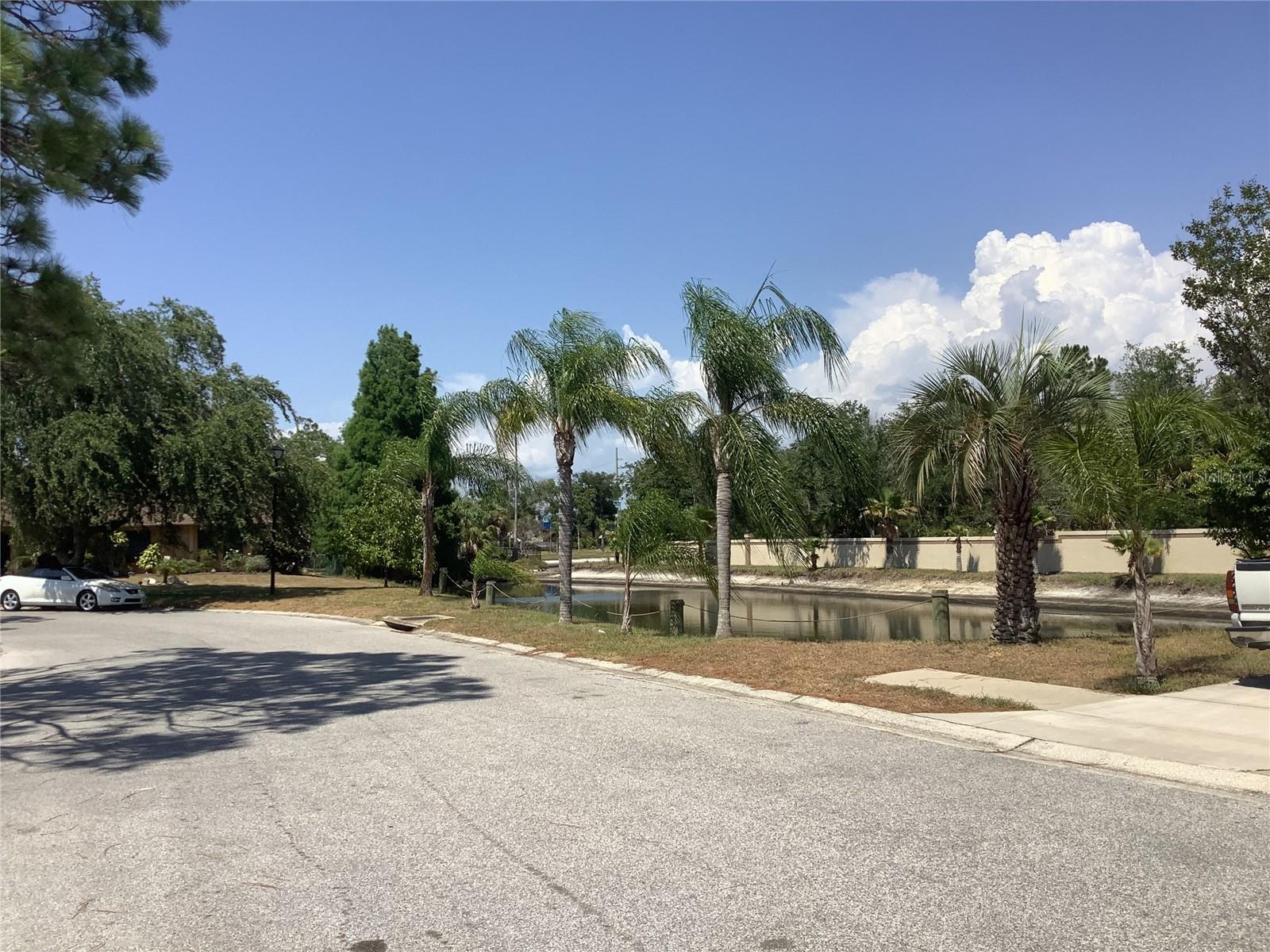 View of Pond across street from Vacant Lot - 18657 WHITE PINE CIR, HUDSON