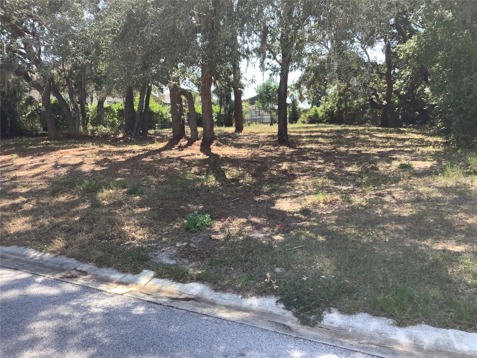 Mature oaks - 18657 WHITE PINE CIR, HUDSON