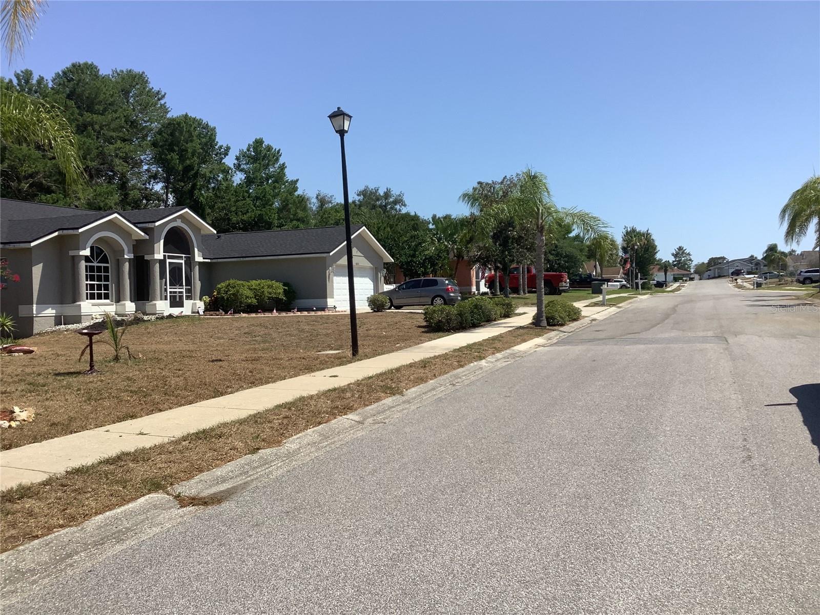 Street view of neighboring homes and street lights - 18657 WHITE PINE CIR, HUDSON