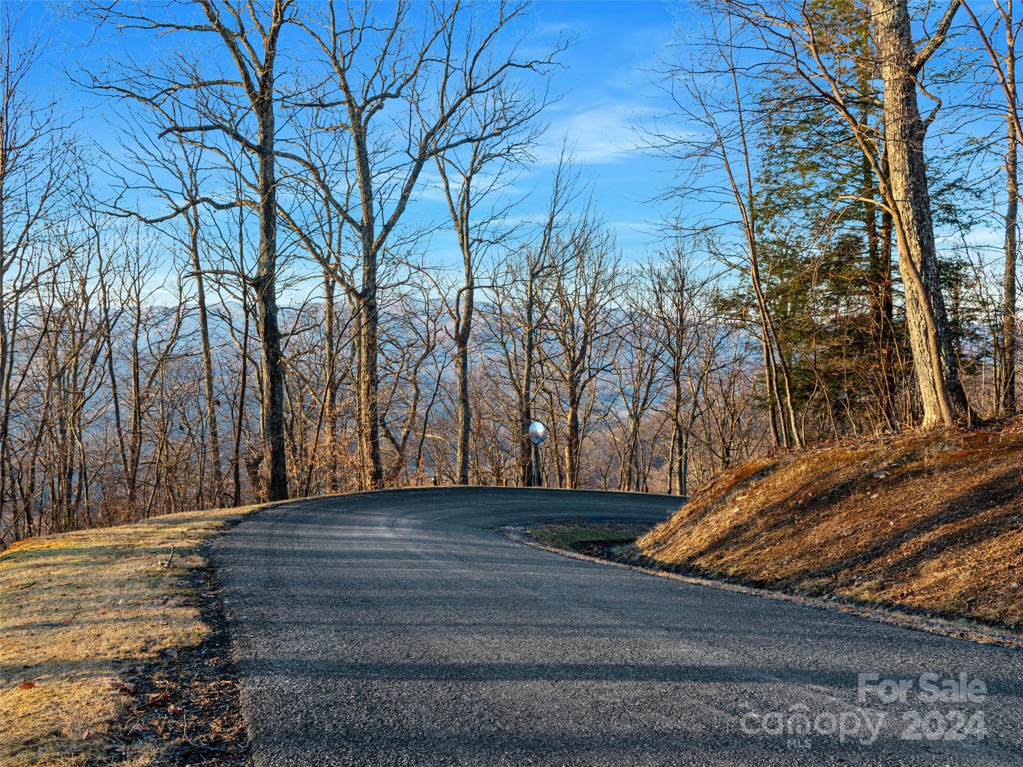 Excellent Road to the Lot - Lot 17 Old Growth Forest Road, Burnsville