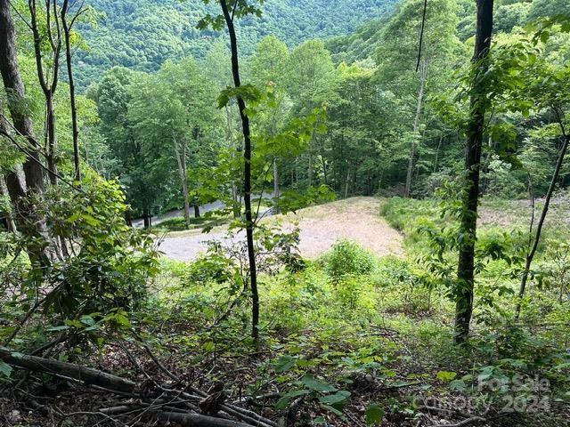 Lot at Lot 284 Running Deer Trail, Waynesville, photo 6 of 10