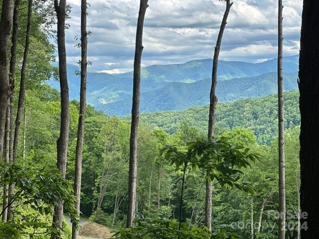 Lot at Lot 284 Running Deer Trail, Waynesville, photo 7 of 10