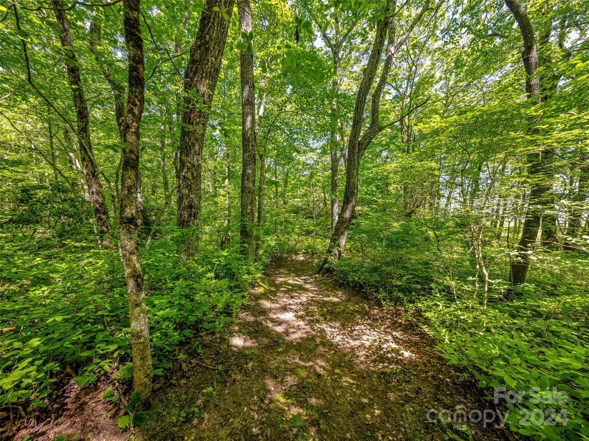 Lot at PS 3 Panther Summit Drive, Lake Toxaway, photo 4 of 11