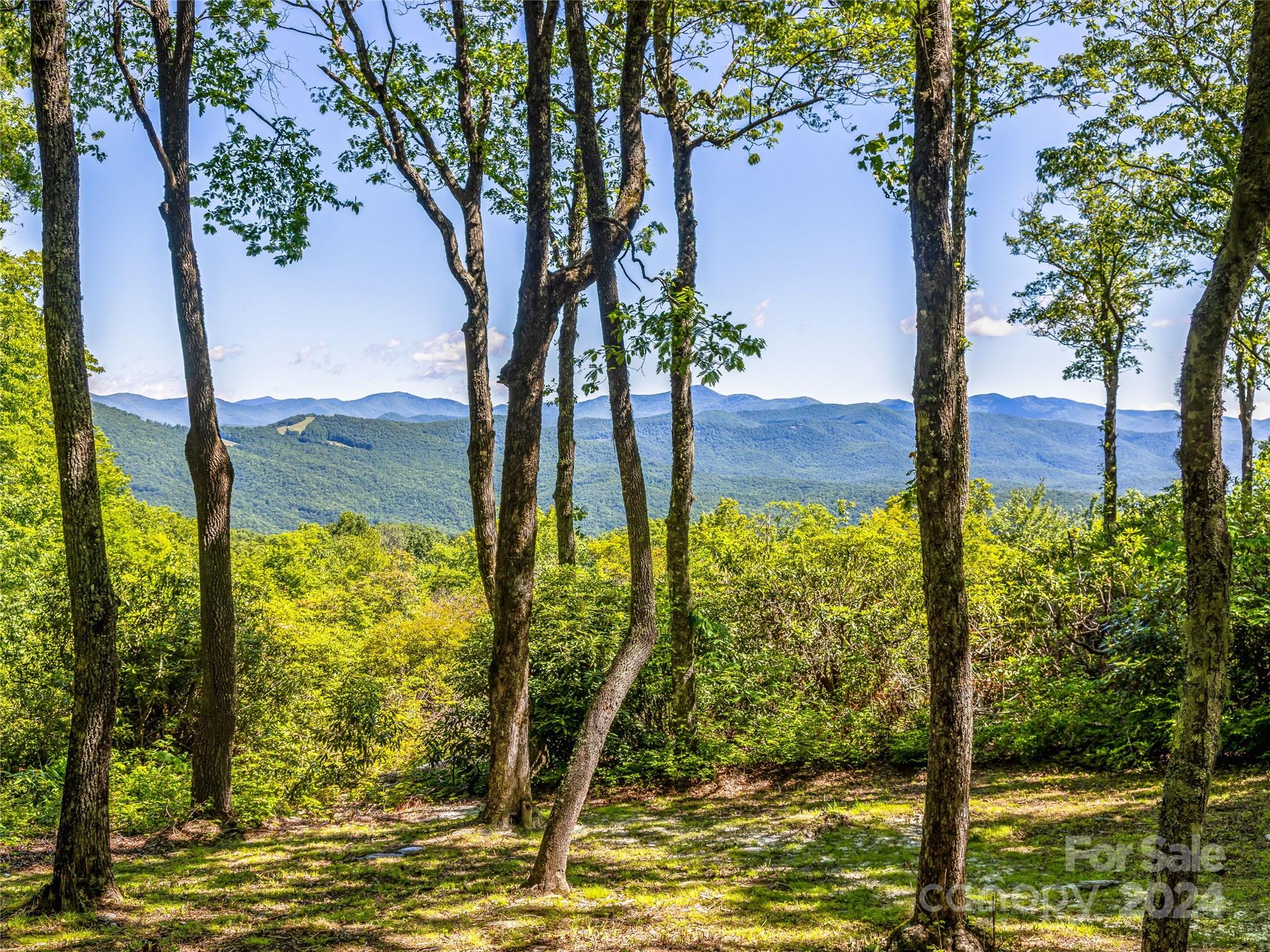 Lot at PS 3 Panther Summit Drive, Lake Toxaway, photo 5 of 11