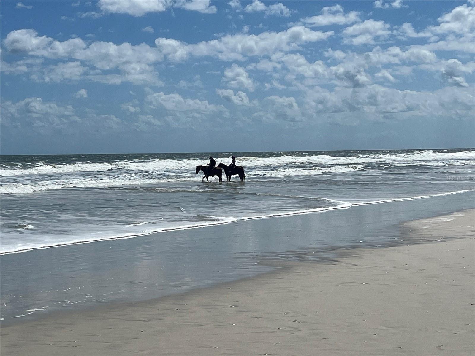 Horse back riding on beach - 47 ROLLINS DR, PALM COAST