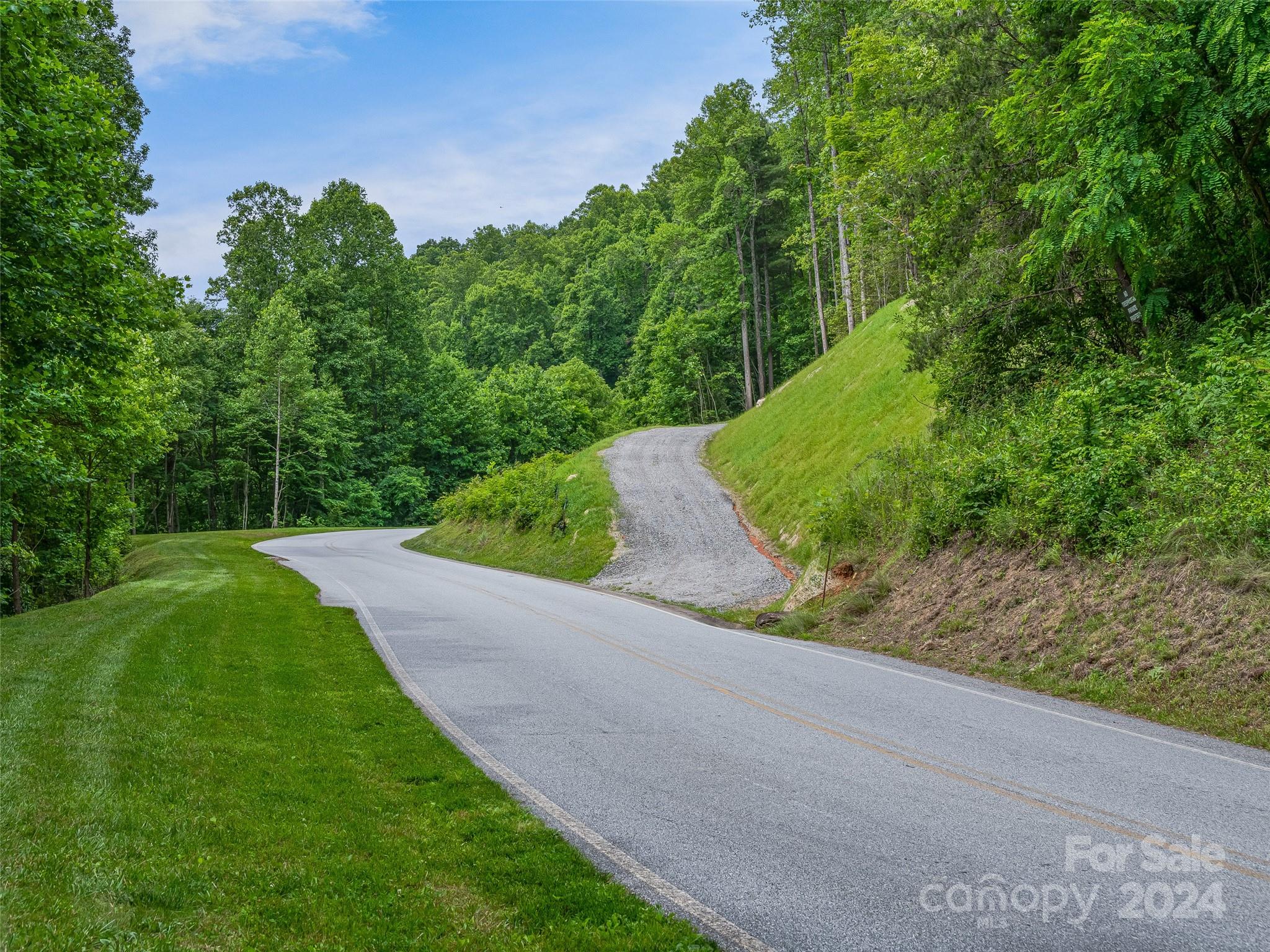 Lot at 99999 Cliffsridge Parkway, Arden, photo 4 of 23