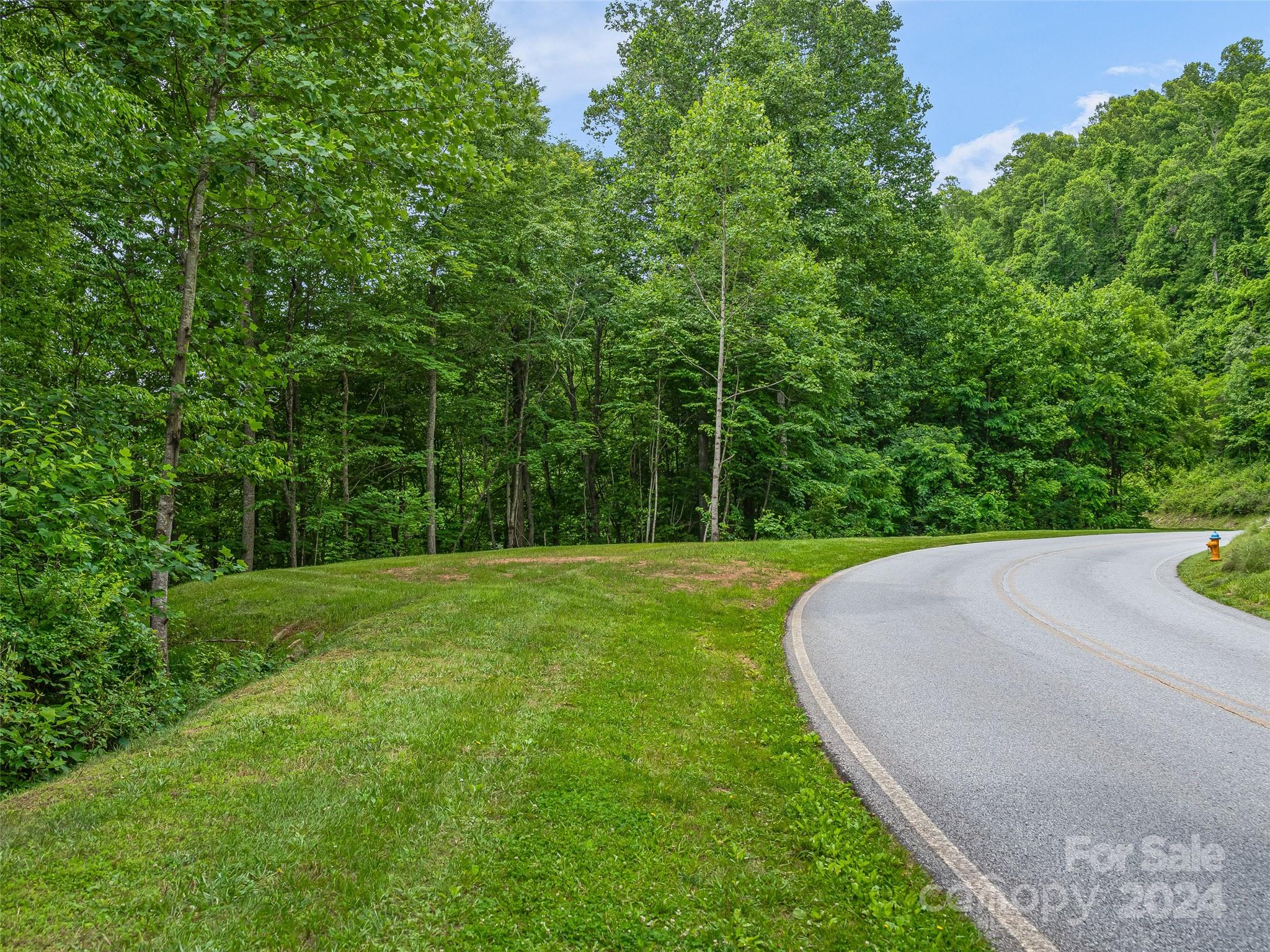 Lot at 99999 Cliffsridge Parkway, Arden, photo 5 of 23
