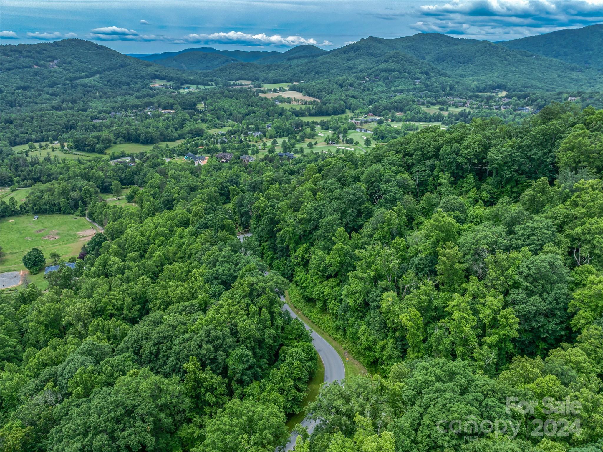 Lot at 99999 Cliffsridge Parkway, Arden, photo 6 of 23