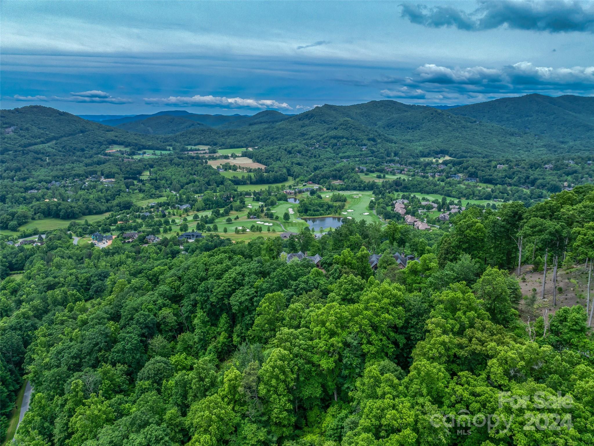 Lot at 99999 Cliffsridge Parkway, Arden, photo 21 of 23