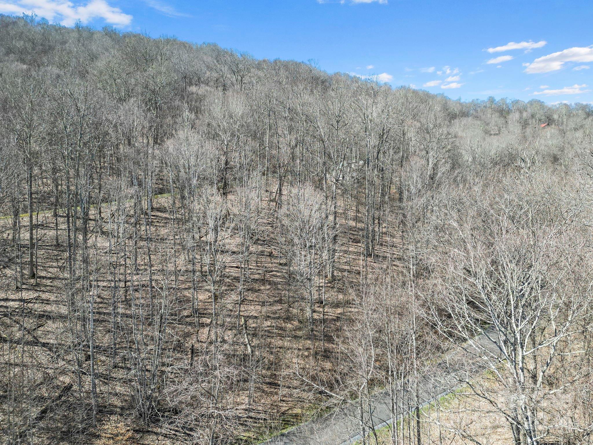 Lot at 10 Chestnut Village Lane, Mars Hill, photo 6 of 42