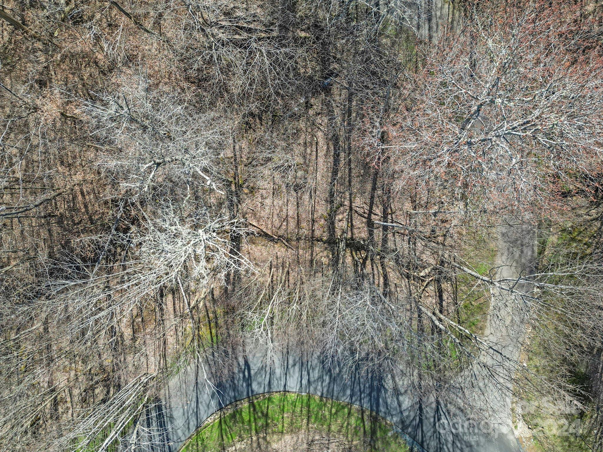 Lot at 10 Chestnut Village Lane, Mars Hill, photo 10 of 42