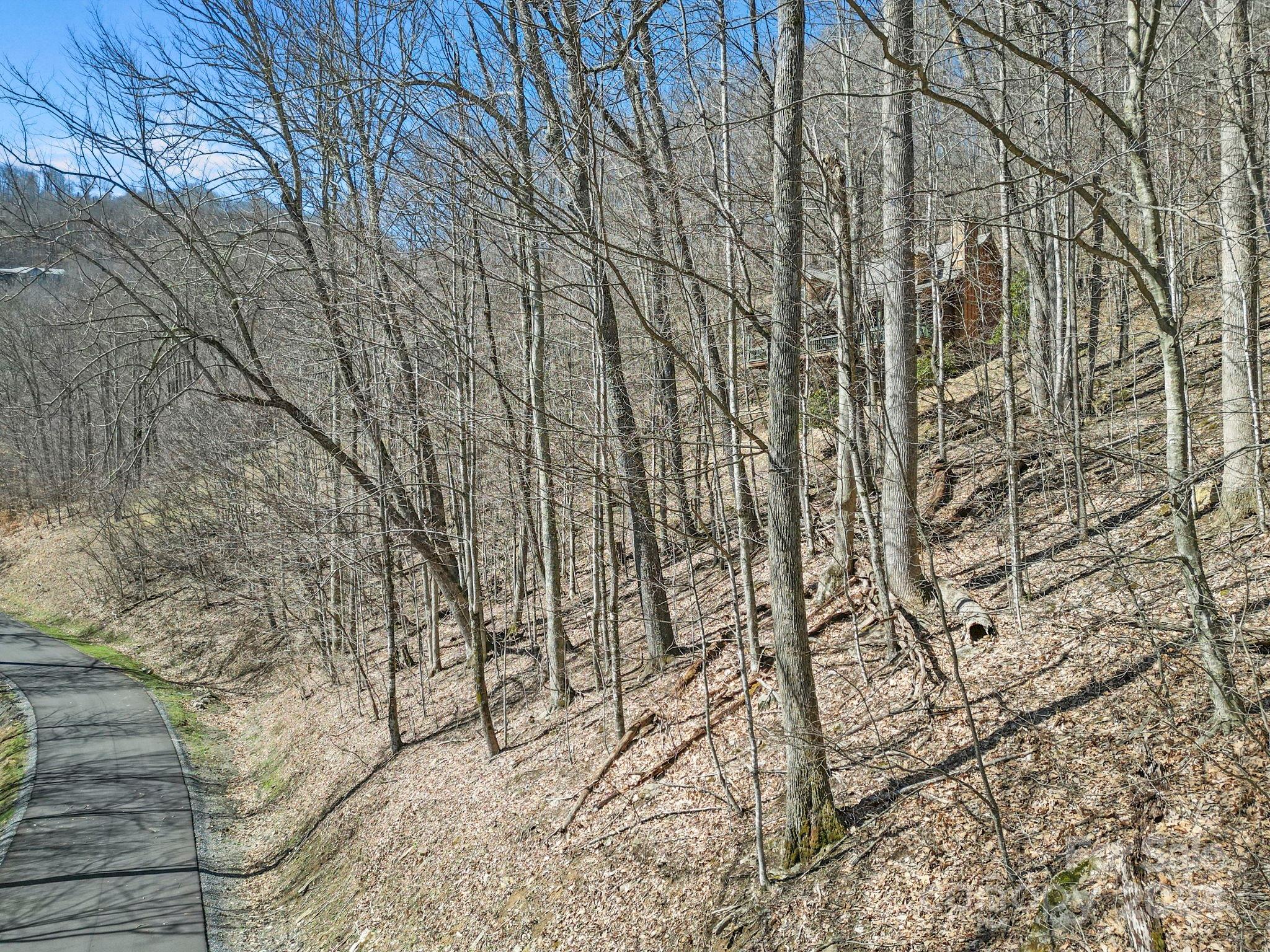 Lot at 10 Chestnut Village Lane, Mars Hill, photo 13 of 42