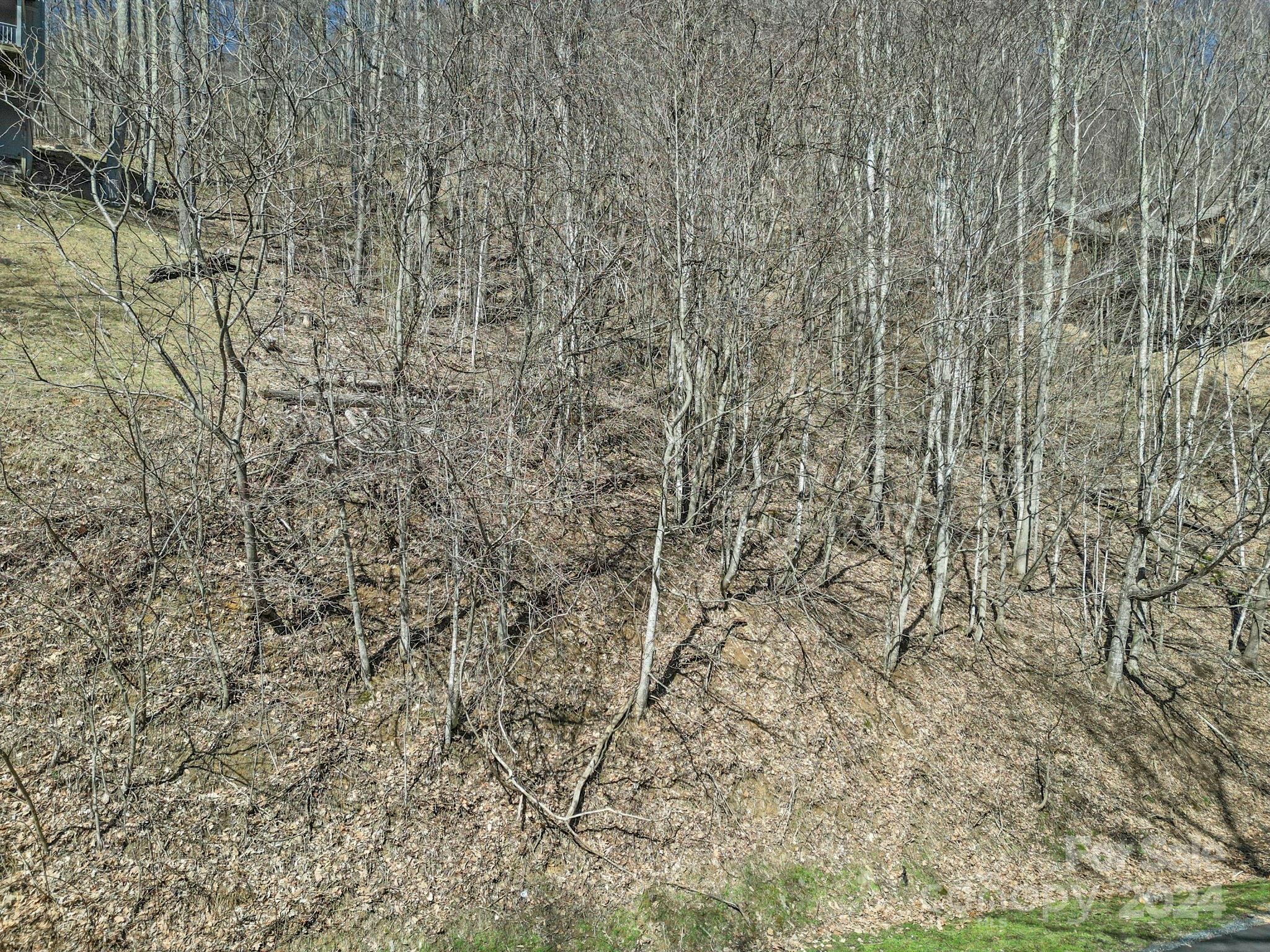 Lot at 10 Chestnut Village Lane, Mars Hill, photo 15 of 42