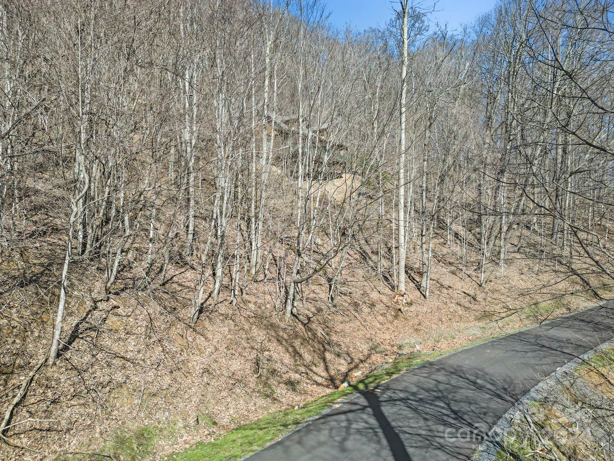 Lot at 10 Chestnut Village Lane, Mars Hill, photo 16 of 42