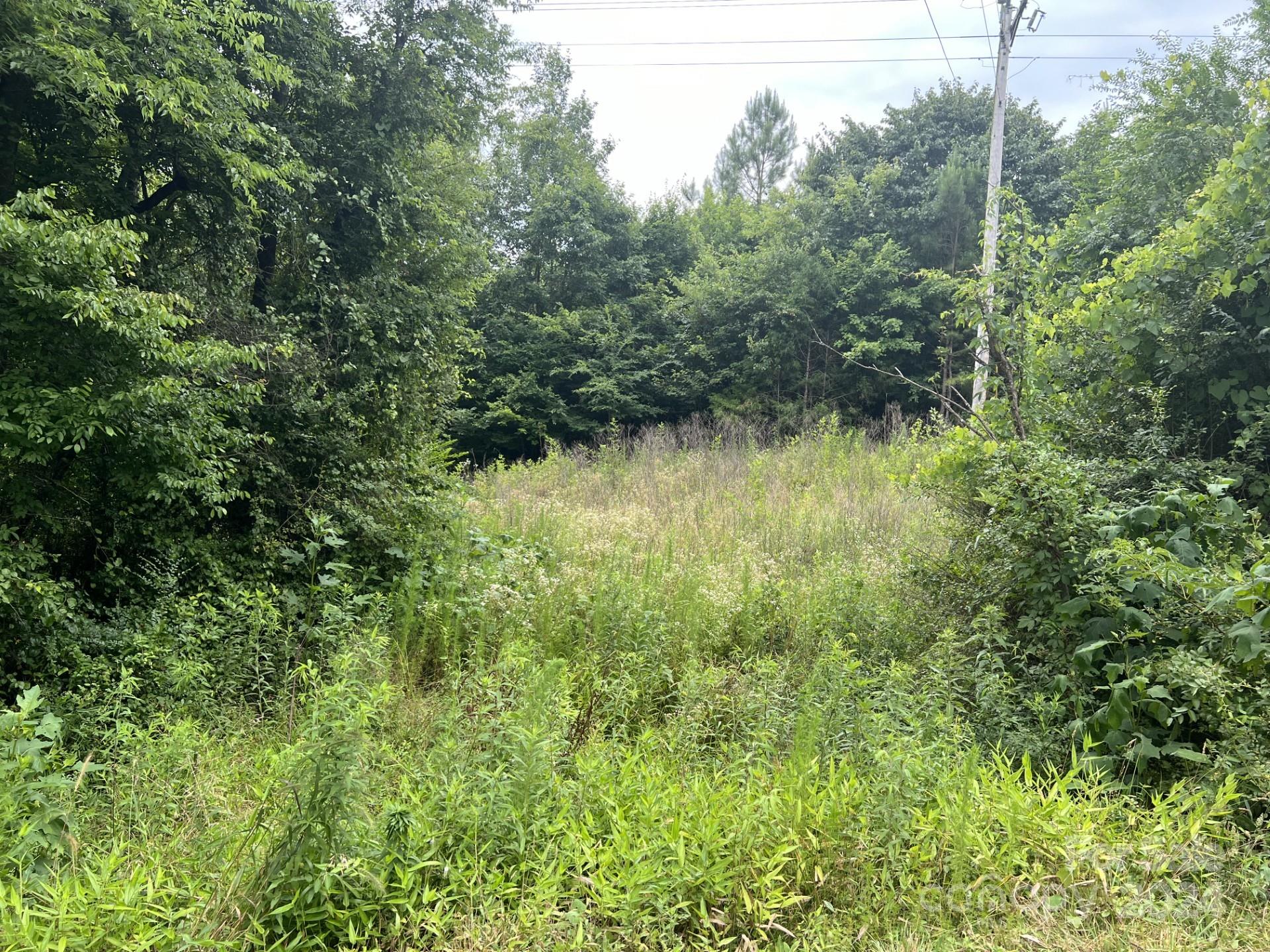 Acreage at 00 Cottonville Road, Norwood, photo 2 of 8