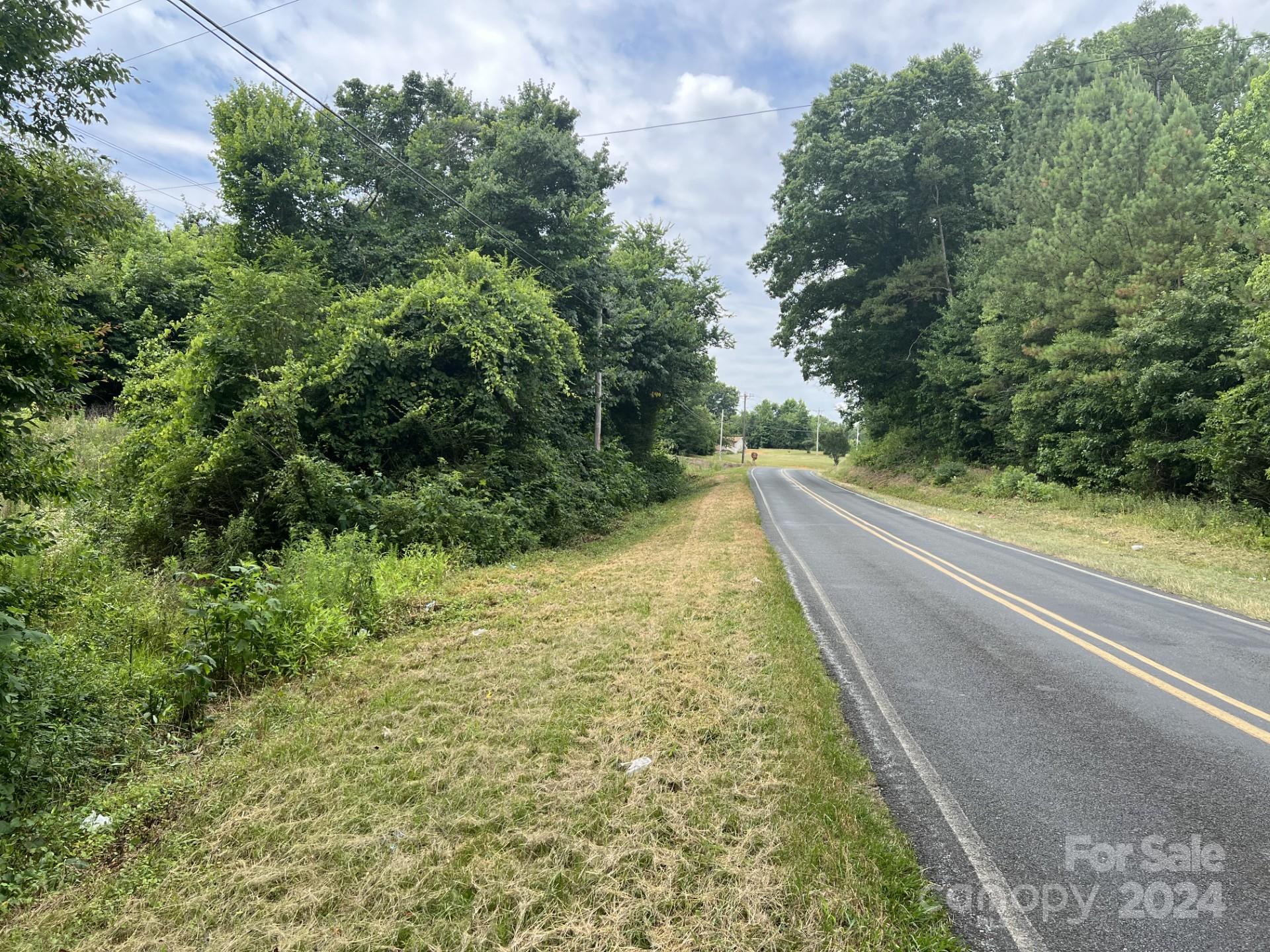 Center road frontage facing right. - 00 Cottonville Road, Norwood