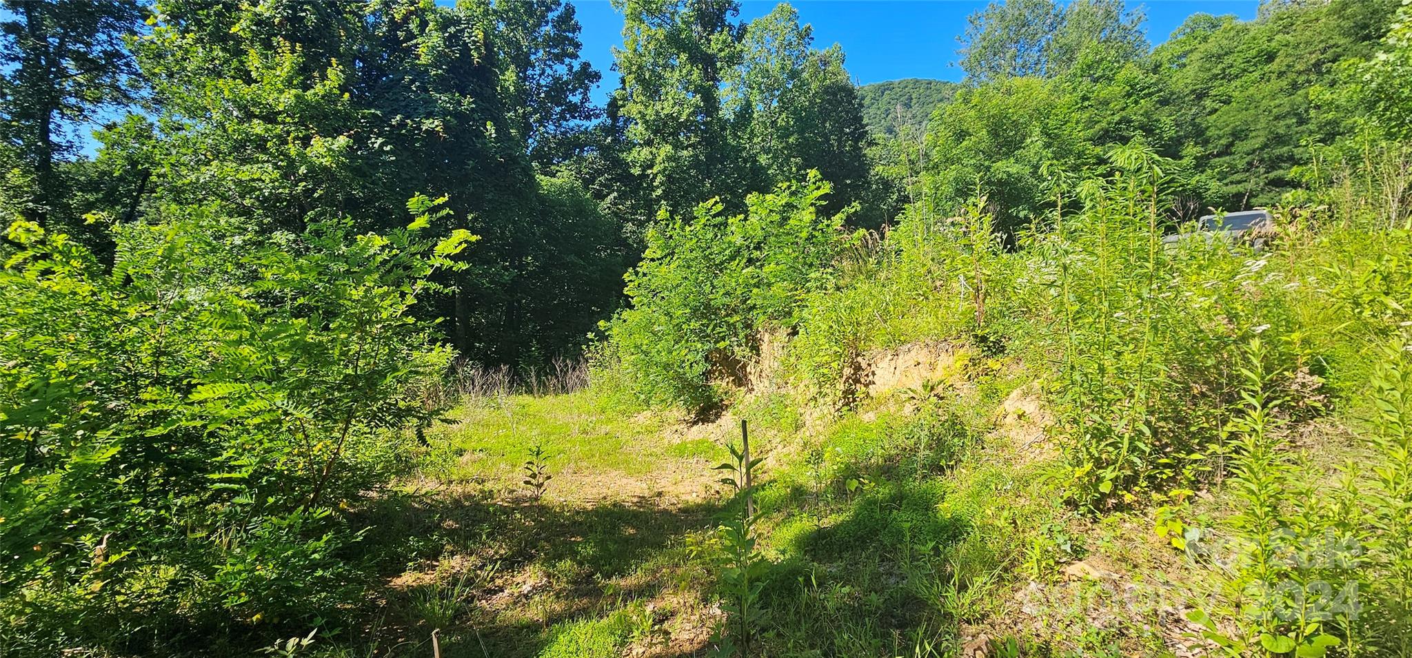 Acreage at 8 Lots Frontier Way, Waynesville, photo 8 of 27
