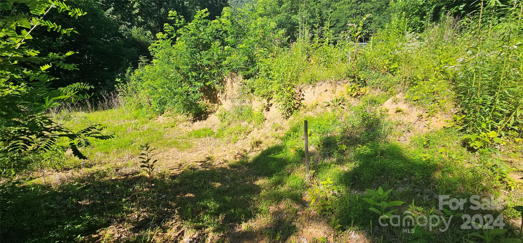 Acreage at 8 Lots Frontier Way, Waynesville, photo 11 of 27
