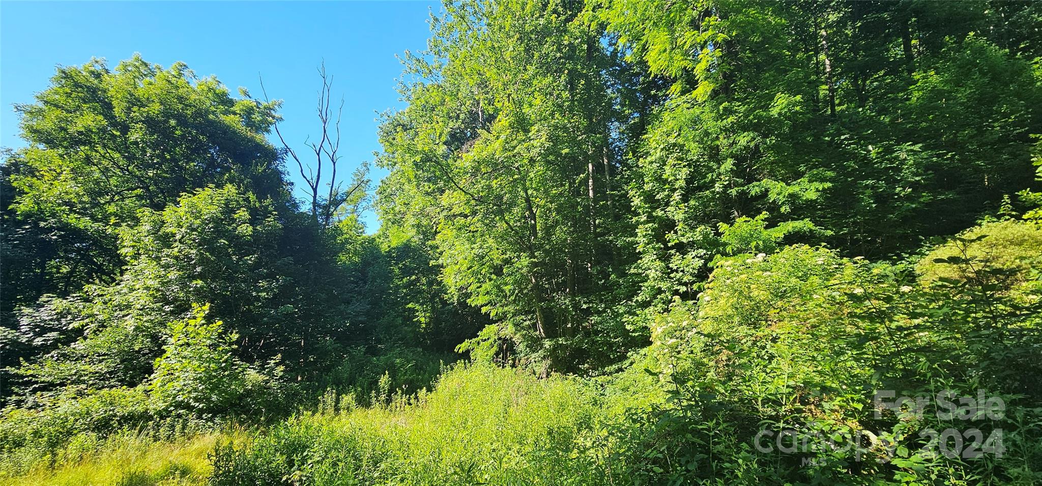 Acreage at 8 Lots Frontier Way, Waynesville, photo 17 of 27