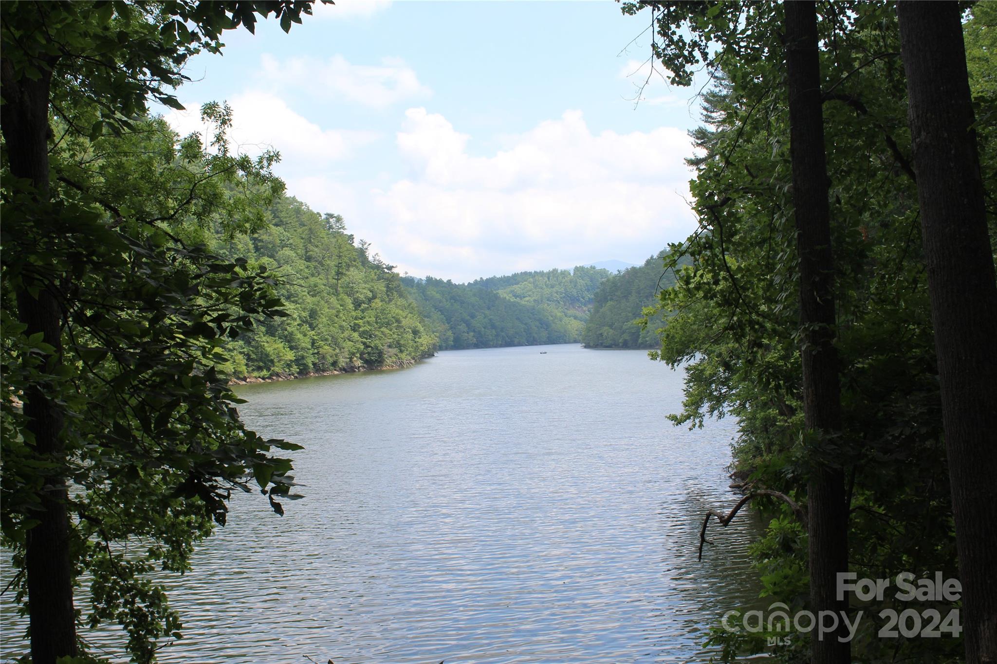 Acreage at 000 White Oak Road, Waynesville, photo 2 of 39