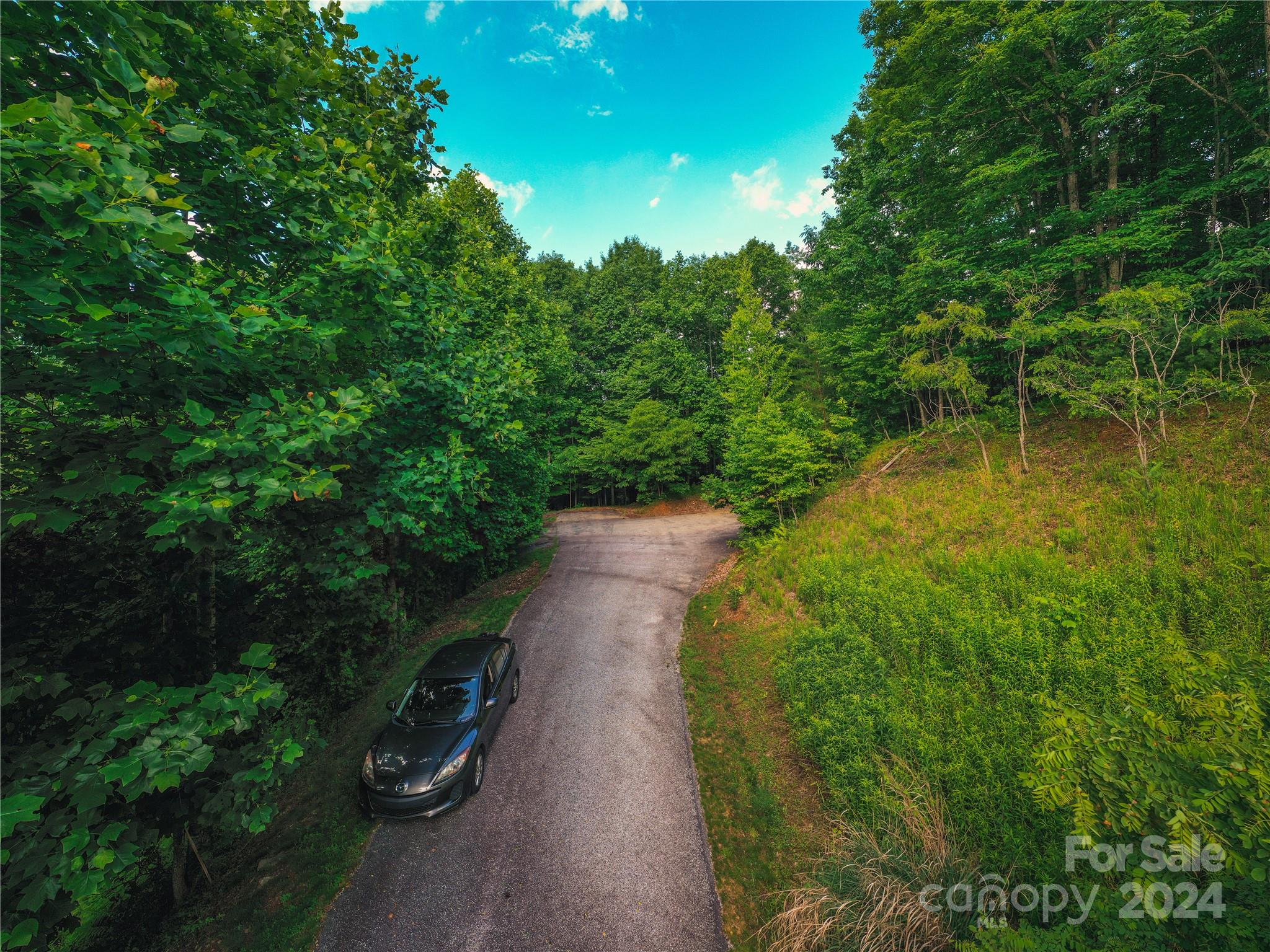 Acreage at 240 Smokemont Drive, Arden, photo 2 of 15