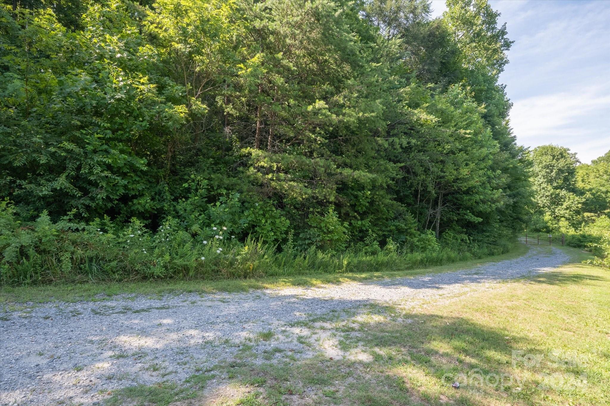 Lot at 99999 Goose Creek Off Road, Marion, photo 6 of 13