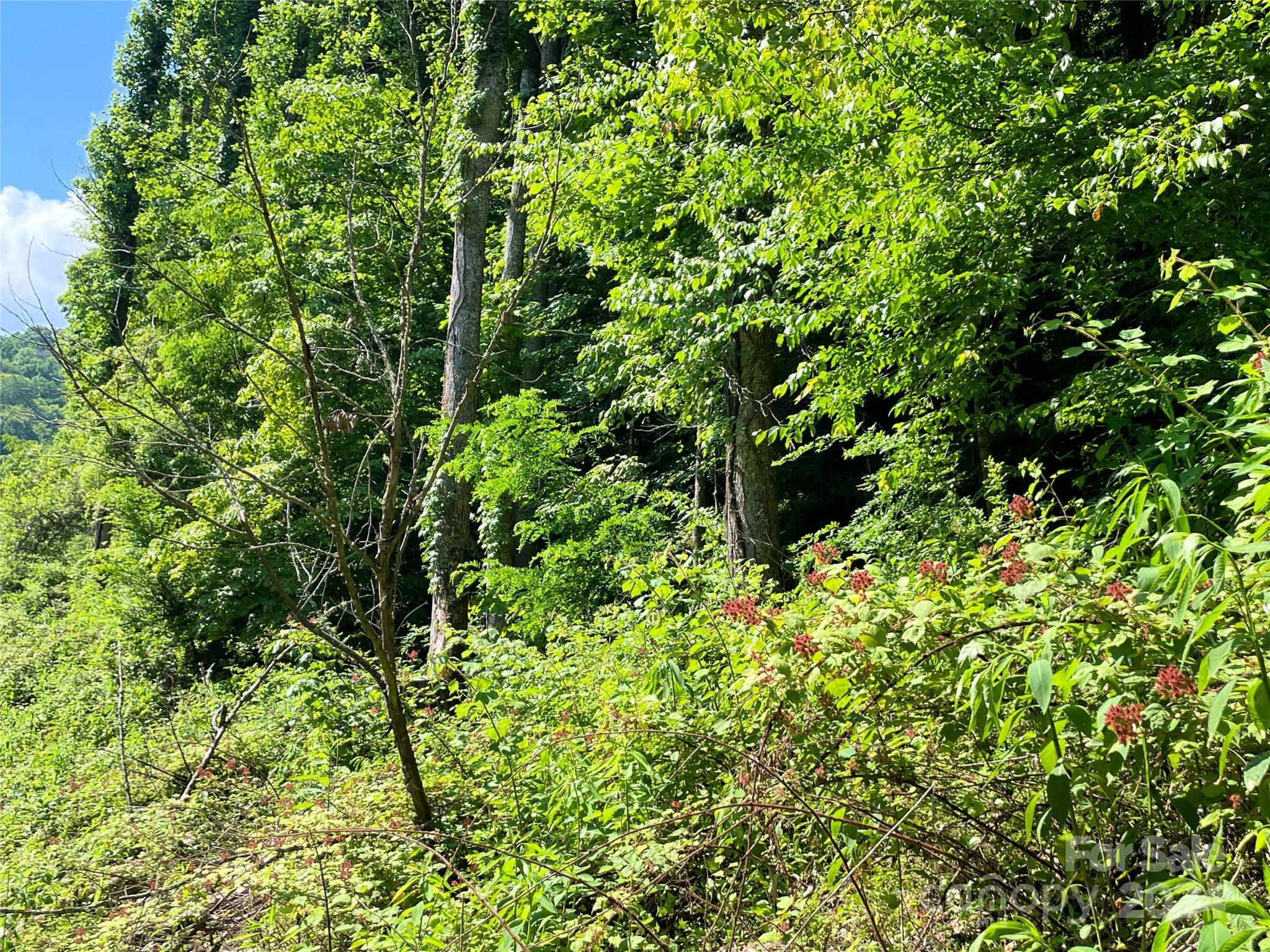 Acreage at 3065 Piney Hill Road, Burnsville, photo 35 of 37