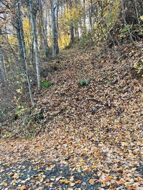 Path from steps lead potential homesite - 0 Whispering Winds Road, Waynesville